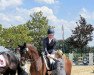 Dressurpferd Dance With Me Hg (Deutsches Reitpony, 2016, von Dreidimensional AT NRW)