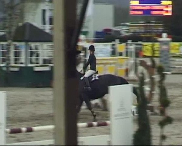 Springpferd Karamija TS (Polnisches Warmblut, 2004, von Apogejs)