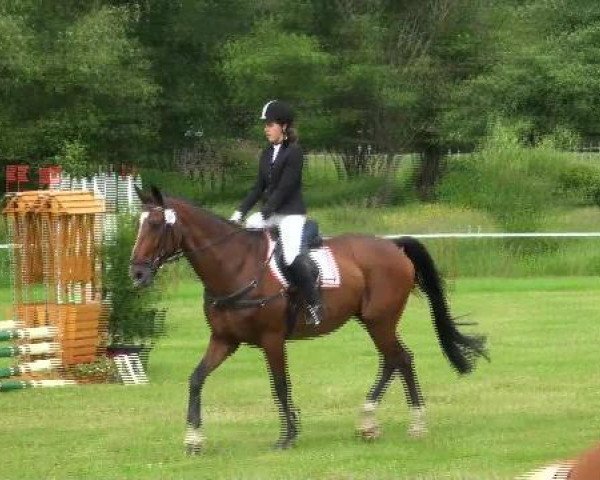 dressage horse Walisso (Westphalian, 1993, from Weinberg)