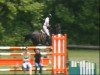 jumper Sharon Stone 2 (Hanoverian, 1999, from Stakkato)