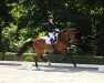 dressage horse Quelindo 2 (Hanoverian, 2018, from Quantensprung 3)