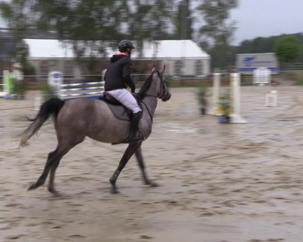 Reitturnier Herbern 2022