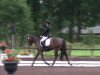 dressage horse Reitland's Don Totilas (German Riding Pony, 2007, from Diamond)