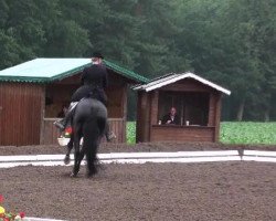 dressage horse Rubinnio 2 (Hanoverian, 2002, from Rotspon)