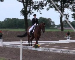 dressage horse Shy Boy 6 (German Warmblood, 1999, from Sioux)