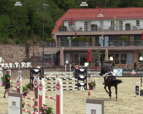 Reitturnier Nörten-Hardenberg 2022