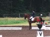 dressage horse Sharan 46 (Pony without race description, 1998)