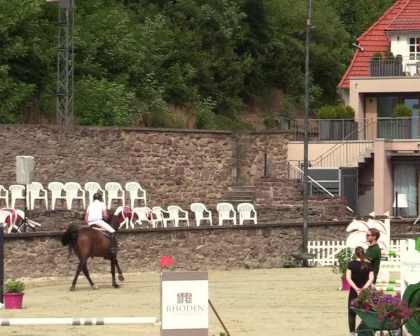 Reitturnier Nörten-Hardenberg 2022