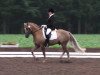 dressage horse Baris Sun Beauty (unknown, 1992)