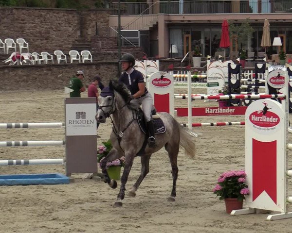 Reitturnier Nörten-Hardenberg 2022
