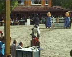 jumper Cobelix (Oldenburg show jumper, 2004, from Come On)