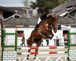 jumper Katie 15 (KWPN (Royal Dutch Sporthorse), 2015, from Zapatero VDL)