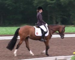 dressage horse Wanda WE (German Riding Pony, 1998, from Duktus)