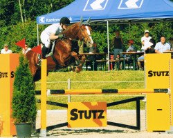 Springpferd Figaro vom Eigen (Schweizer Warmblut, 2005, von For Pleasure)