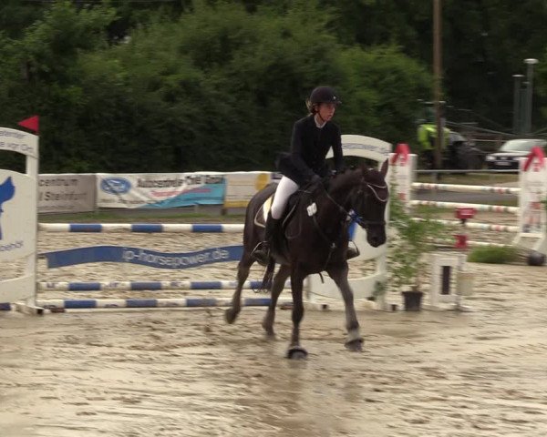 Reitturnier Herbern 2022