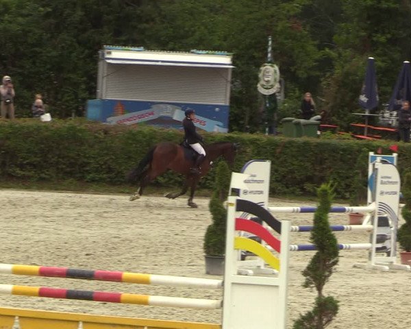 Reitturnier Vlotho-Exter 2022