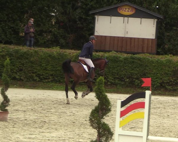 Reitturnier Vlotho-Exter 2022