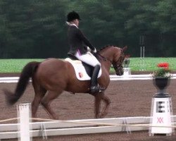 dressage horse Caribic WE (German Riding Pony, 2004, from Charivari)