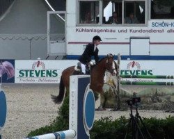 dressage horse Majestic 10 (German Riding Pony, 2006, from The Braes My Mobility)