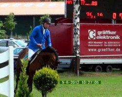 jumper Stacord (Hanoverian, 2004, from Stakkato)