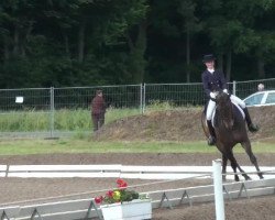 dressage horse Wonderful Dream 12 (Hanoverian, 2003, from Wolkenstein II)