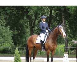 dressage horse Freeman 79 (Westphalian, 2006, from Fürst Grandios)