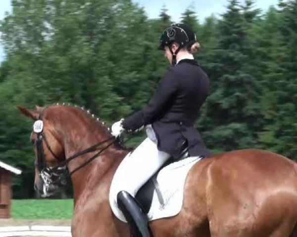 dressage horse Don Camillo H (Hanoverian, 2004, from Don Frederico)