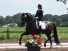 dressage horse DJ 22 (Oldenburg, 2006, from De Niro)