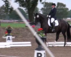 dressage horse Magic Moment (Oldenburg, 2003, from Mon Dieu)