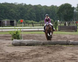 Zuchtstute Die kleine Prinzessin (Deutsches Reitpony, 2007, von Der feine Lord AT)