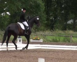 dressage horse Nia 3 (Oldenburg, 2003, from Sion)