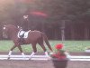 dressage horse Romanov 18 (Oldenburg, 2001, from Rubino Rosso)