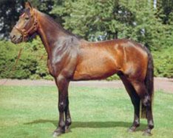 stallion Chrysta's Best (American Trotter,  )