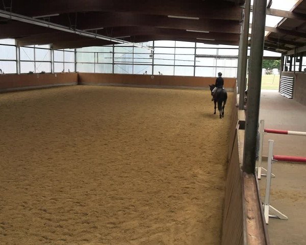 Reitturnier Herbern 2022