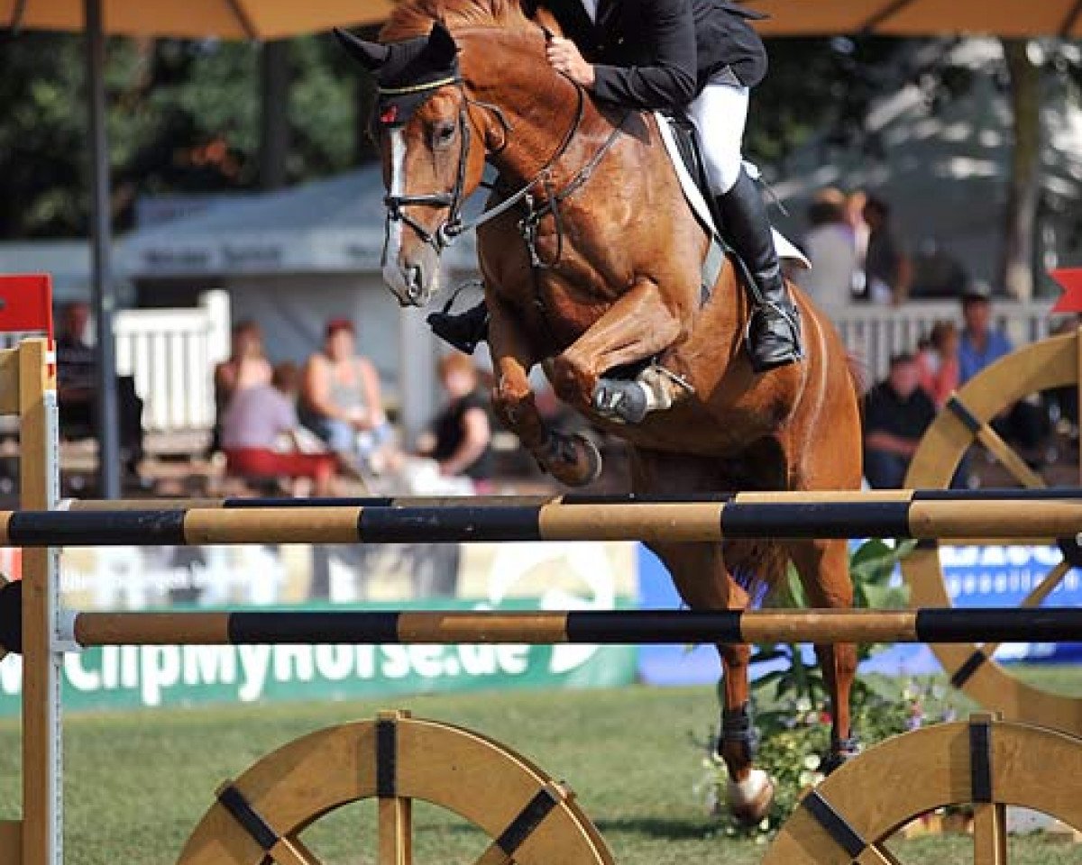 broodmare Use Me (Westphalian, 2003, from Insul Tech Up To Date 8)