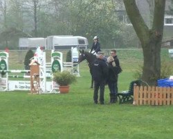 dressage horse La Pasion (Holsteiner, 1998, from Lothringer)