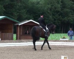 dressage horse Leyenda (Westphalian, 2004, from Lacordos)