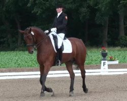 dressage horse Daniel Craig (Hanoverian, 2005, from De Niro)