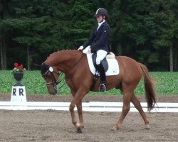 dressage horse William 224 (Hanoverian, 1999, from Weltmeyer)