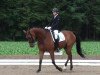 dressage horse Fontane 24 (Westphalian, 2005, from Florestan I)