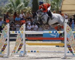 broodmare No Limit Vh Legita Hof Z (Zangersheide riding horse, 2013, from Nabab de Rêve)