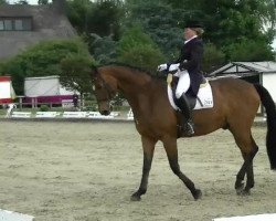 dressage horse Recuerdo (Oldenburg, 1994, from Rohdiamant)