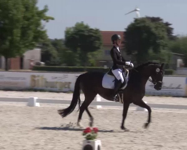 Reitturnier Rot am See- Musdorf 2022