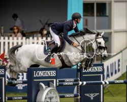 jumper Nabeau van het Migroveld Z (Zangersheide riding horse, 2011, from Nabab de Rêve)