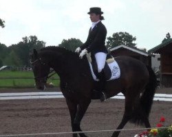 dressage horse Sammy Deluxe OLD (Oldenburg, 2007, from Samarant)