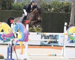 broodmare Kadee van het Heikanthof (Belgian Warmblood, 2010, from Esperanto van Paemel)