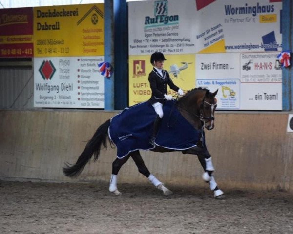 dressage horse Frieda 290 (Oldenburg, 2014, from Foundation 2)