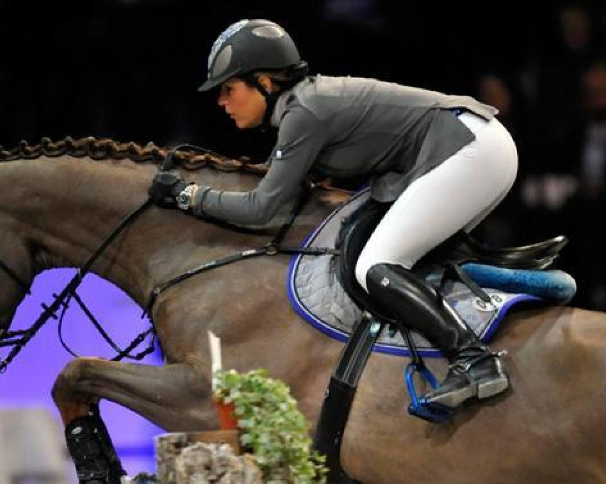 jumper West Side V Meerputhoeve (Belgian Warmblood, 1999, from Baloubet du Rouet)