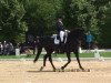 dressage horse Pina Rubina (Bavarian, 1996, from Piaster)