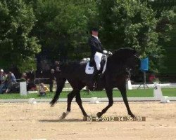 dressage horse Pina Rubina (Bavarian, 1996, from Piaster)